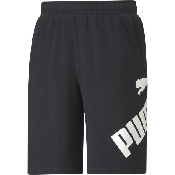 Puma BIG LOGO SHORTS 10 Pánské sportovní šortky