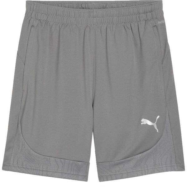 Puma TEAMFINAL TRAINING SHORTS Pánské sportovní kraťasy