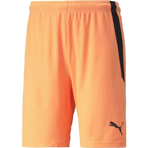 Puma TEAM LIGA SHORTS Pánské šortky