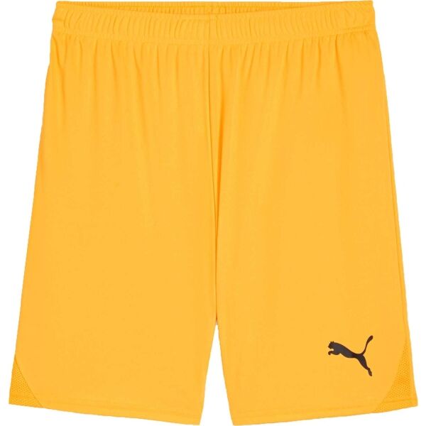 Puma TEAMGOAL SHORTS Pánské fotbalové šortky